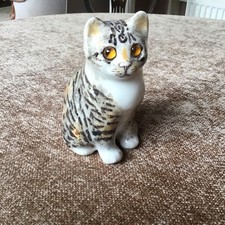 Winstanley tabby white for sale  WEST WICKHAM