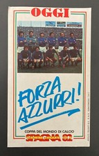 Forza azzurri spagna usato  Gatteo