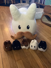 labbit for sale labbit for sale Pittsburgh