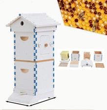Wooden mini beehive for sale  USA