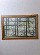 Rare picture cards for sale  DUNDEE