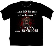 Labbi labrador hunde gebraucht kaufen  Zittau