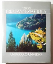 Friuli venezia giulia usato  Italia