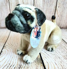 Light brown pug for sale  MEXBOROUGH