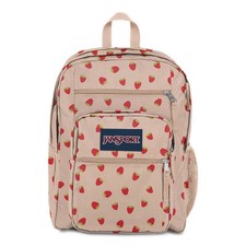 Jansport backpack school for sale  USA