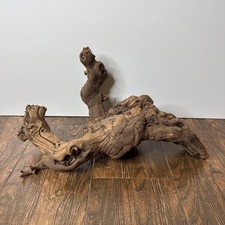 java fern driftwood for sale java fern driftwood for sale Satellite Beach