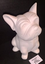 White french bulldog for sale  Edmond