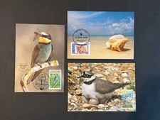 Wwf postkarten flussregenpfeif gebraucht kaufen  Henstedt-Ulzburg