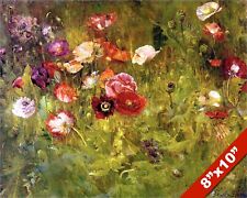 Flowerbed poppies poppy for sale  South Jordan