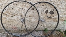 Ruote campagnolo corsa usato  Torre Annunziata