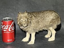 Mini wolf taxidermy for sale  Kokomo