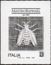 mastro raphael usato mastro raphael usato Italia