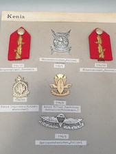 General kenia fallschirmspring gebraucht kaufen  Blieskastel