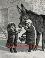 Donkey getting christmas for sale  Lake Villa