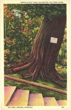 Virginia natural bridge for sale  Lakewood
