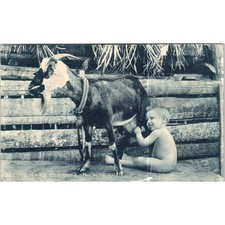1916 chiva criandera for sale  Hinckley