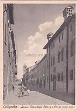cotignola usato cotignola usato Roma