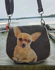 Fuzzy nation chihuahua for sale  Sunrise Beach