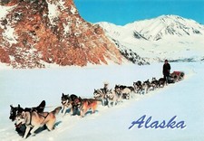 Postcard dog sled for sale  New Market