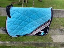 Pony size tottie for sale  DUMFRIES