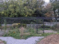 Harrod horticultural walk for sale  MILTON KEYNES