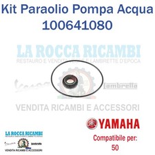 Kit paraolio pompa usato  Napoli