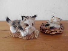 Niedliche fell katzen gebraucht kaufen  Nörten-Hardenberg