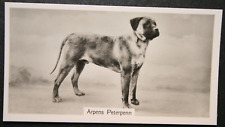 Bullmastiff champion 1938 for sale  DERBY