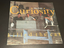 Curiosity killed cat for sale  BORDON