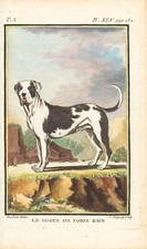 1758 french dog for sale  Hoboken