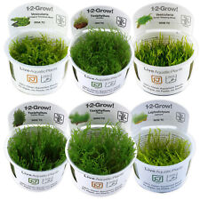 Tropica live moss for sale  DARTFORD