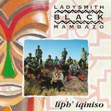 Liphiquiniso audio ladysmith for sale  Montgomery