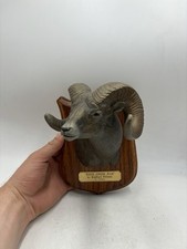 Bradford williams rock for sale  Yakima