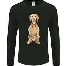 Hungarian vizsla posing for sale  COVENTRY