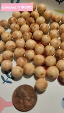 Broadleaf lady palm for sale  Saint Petersburg