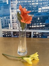 20cm small flower for sale  GREAT YARMOUTH