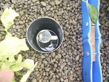 Vitalink clay pebbles for sale  COCKERMOUTH
