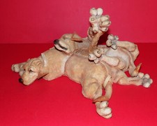 Country artists breed for sale  PUDSEY