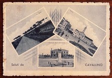Cartolina epoca cavallino usato  Salizzole