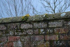 Reclaimed yorkstone hogs for sale  NORTHALLERTON