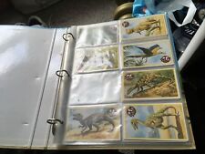 Dinosaurs swap card for sale  STOKE-ON-TRENT