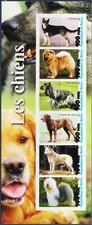 Cani animali cocker usato  Italia