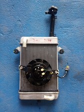 Radiatore honda 300 usato  Roma