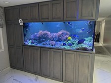 550gallon reef aquarium for sale  Astoria