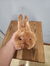 F44 tan rabbit for sale  Hinton