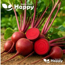 Vegetable beetroot detroit for sale  DONCASTER