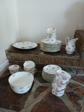 Edwardian dinner servive for sale  ST. IVES