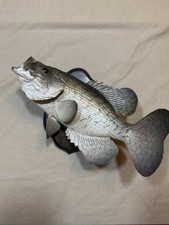 12.5 inch crappie for sale  Concord