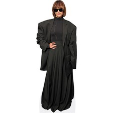 Sophie marceau pappaufsteller gebraucht kaufen Sophie marceau pappaufsteller gebraucht kaufen  Hannover