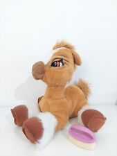 Toffee pony horse for sale  BALERNO